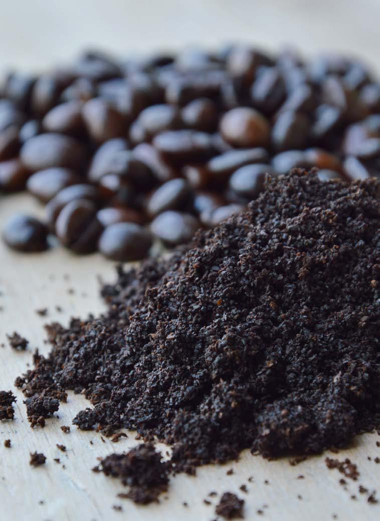 How much coffee waste are we producing? 921 cafes and coffee shops within the City of Sydney. An average cafe uses 32kg of coffee beans in a week, producing 60kg of spent coffee grounds a week.