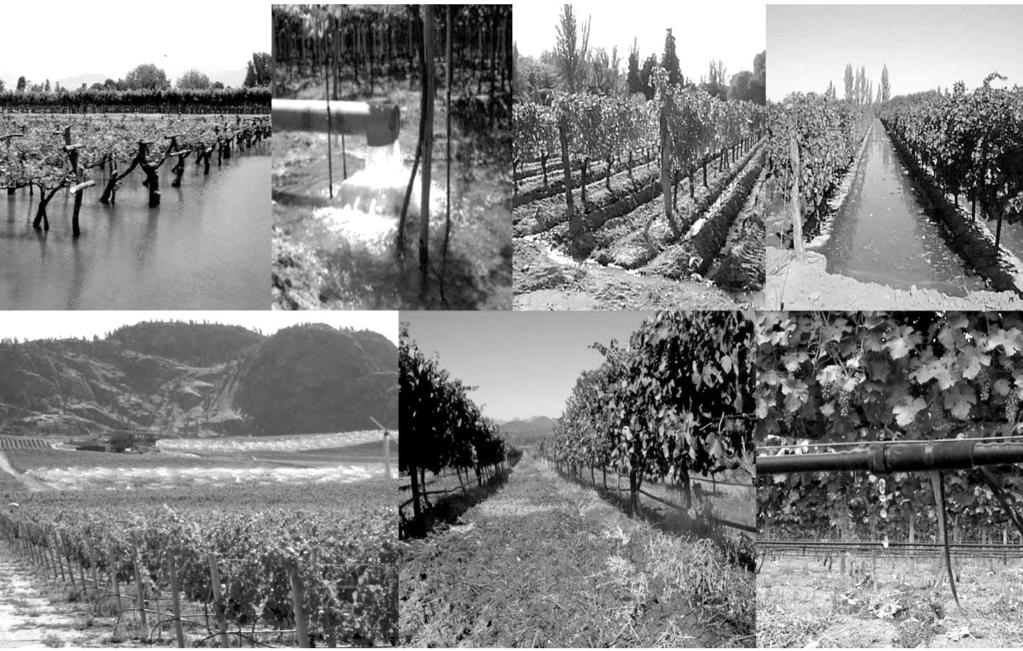 Precision Irrigation of Grapevines waterways fed by the Rhône with those fed by the Orb, Hérault and Aude Rivers.