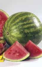 Watermelon - 1 avg.