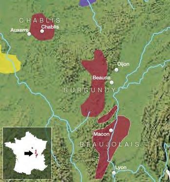 The Wine Regions of Burgundy: Chablis The region lies in the far north of Burgundy, and is actually about 40 miles closer to Champagne than it is to the rest of Burgundy and was, in