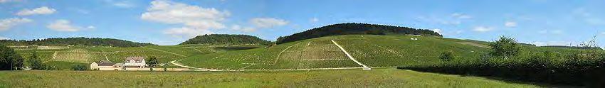 The Wine Regions of Burgundy: Chablis Chablis is an appellation restricted to dry white wine.