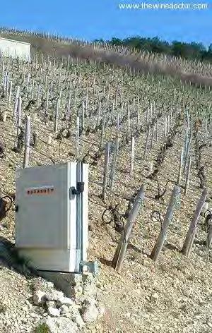 All of Chablis' Grand Cru vineyards and Premier Cru vineyards are planted on