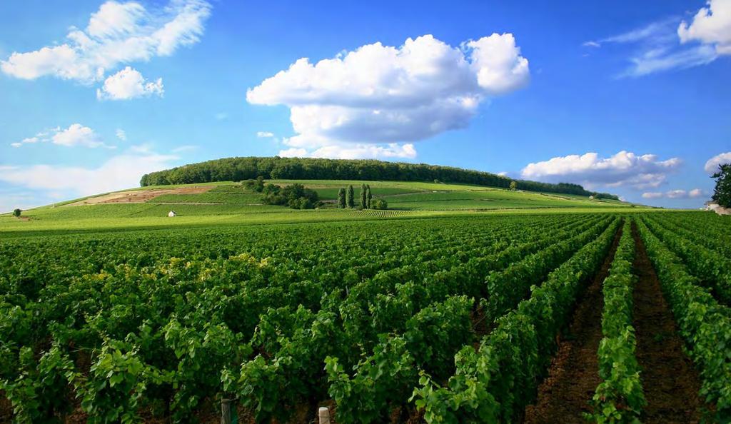 The Wine Regions of Burgundy: Côte de Nuits The Côte de Nuits starts in the north