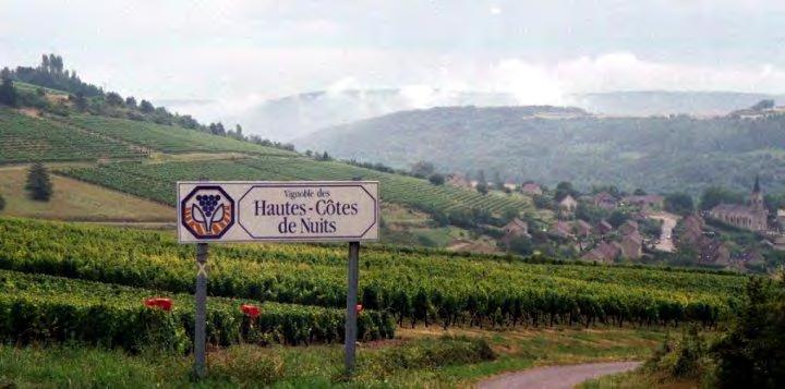 Burgundy (continued) In Burgundy, winemaking facilities are located in the towns, away from the vineyards.