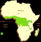 temperatures and both summer, winter rains African Rain Forest # Annual rainfall of up to 17