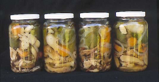CANNING WILD EDIBLE MUSHROOMS 43 Fig. 2. Wild edible mushrooms canned in glass containers using the acidified Mexican recipe "hongos silvestres en escabeche" (HSE).