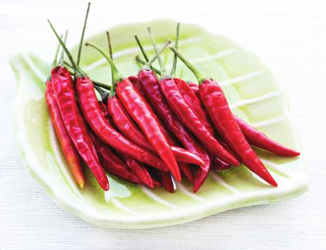monly used in Indian foods. The pepper is long, slender, wrinkled, and about as long as a finger. Fingerhot peppers Yield: About 7 pints Wash, peel, and trim jicama; dice.