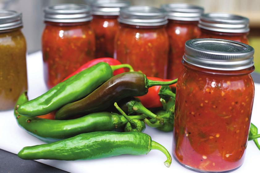 Choice Salsa 6 cups peeled, cored, seeded, chopped ripe tomatoes 9 cups diced onions and/or peppers of any variety 1½ cups bottled lemon or lime juice 1 tablespoon canning or pickling salt Yield: