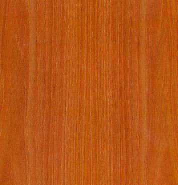 Pine (Pinus palustris) Type :Plain