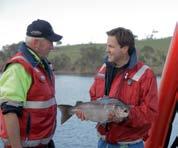 Seafood Choose from Tasmanian salmon, Australian prawns and sustainable wild caught fish.