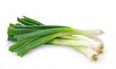 CELERY The celery market is up out of both Oxnard and Santa Maria regions. Supply is light to moderate, and demand is also moderate. GREEN ONIONS The green onion market is mixed this week.