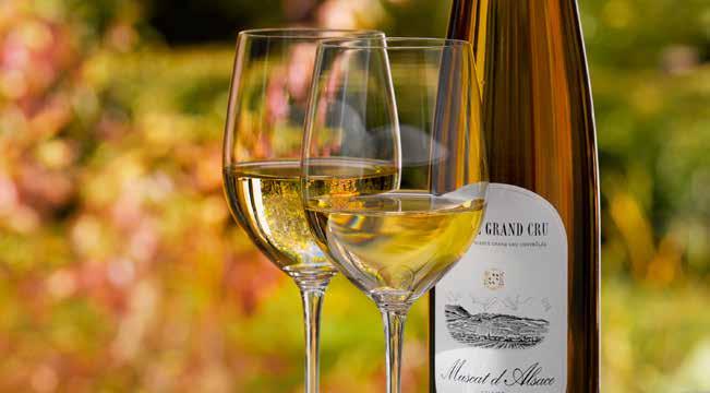 51 ALSACE GRANDS CRUS THESE APPELLATIONS HIGHLIGHT THE UNIQUE INFLUENCE OF THE vineyard itself on the wine.