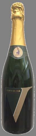 CA NOVINA BRUT White Wine Obtained from Pignoletto grapes and age-old vines.
