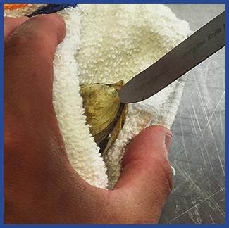 If you are successful, the oyster shell will crack open. 3 Run the knife along the top of the shell to release the oyster into the bottom half of the shell.