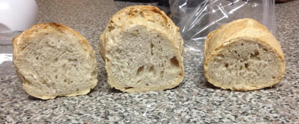 The loaf on the left sat for only 12 hours, and the lack of air pockets shows that the dough did not