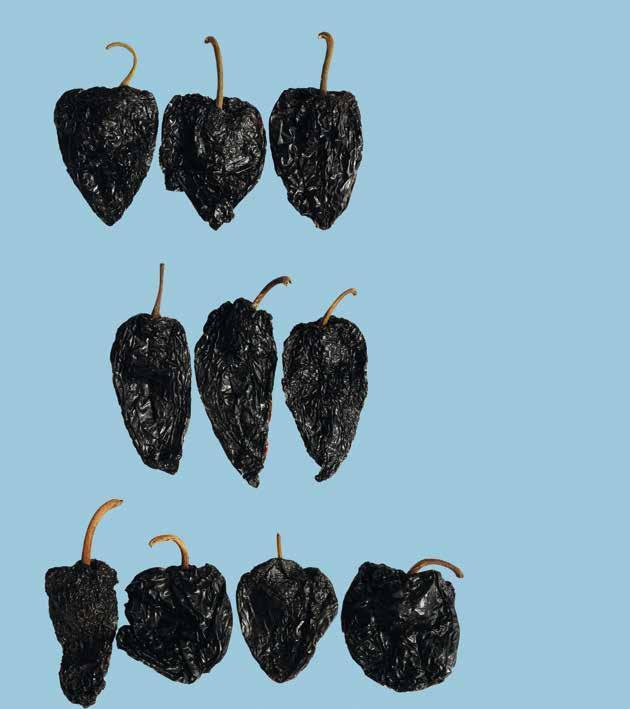 UNECE Explanatory Brochure on the Standard for Whole Dried Chilli Peppers Photo 28