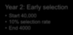 objectives Year 2: Early selection Start 40,000 10%