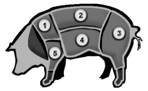 Popular Cuts of Pork #1 Boston Butt (Dry and moist heat cooking methods) Fabricated cuts: Butt steaks Shoulder roasts Ground pork Sausage meat #2 Loin (Dry and moist heat cooking methods) Fabricated