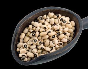 When the seeds of a legume are dried, they are called
