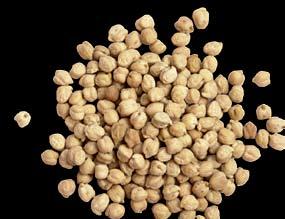 Flageolets are haricot beans that are harvested before they