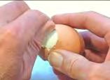 crack the shell of the top half of the egg repeatedly against a