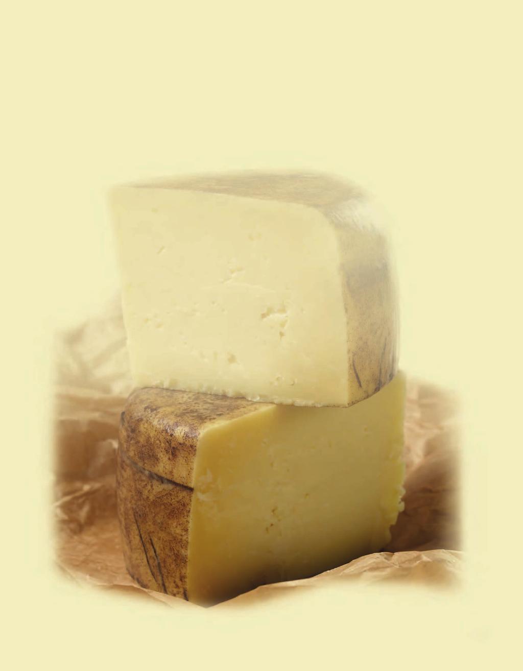 FORGING THE LEGACY WITH INNOVATION In the last several decades small artisan cheese makers all over the U.S.