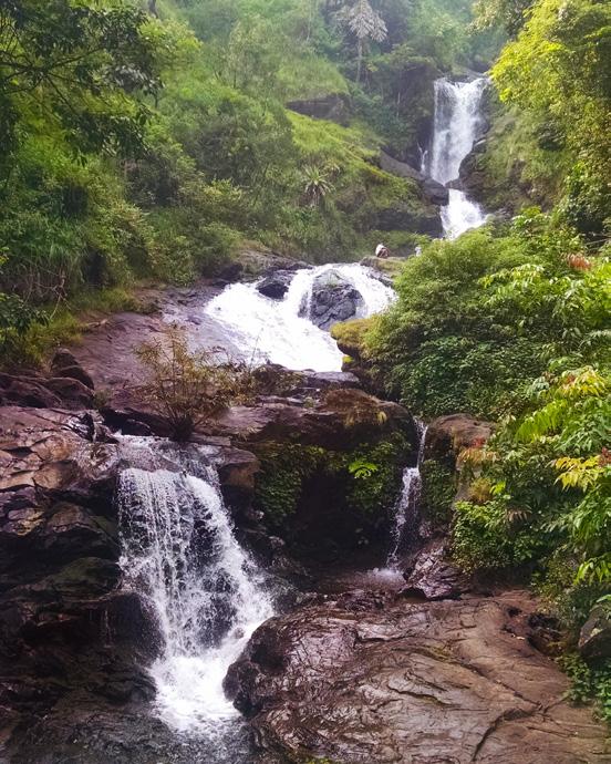 Refresh your senses Western Ghats house plenty of waterfalls, big and small hidden in the lush green valleys.
