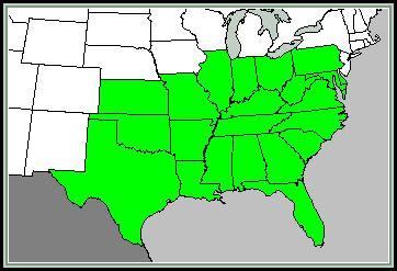 Species Distribution in North America Passiflora incarnata is native to North America, endemic primarily to the southeast U.S. From a few eastern counties of Texas the occurrence of this species increases significantly as you move east, and decreases as you go north.