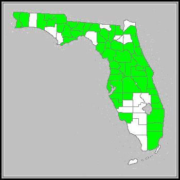 Species Distribution within Florida Purple Passionflower, a perennial, herbaceous vine, is *vouchered in approximately forty-nine counties in Florida, heaviest along the Atlantic coast, but