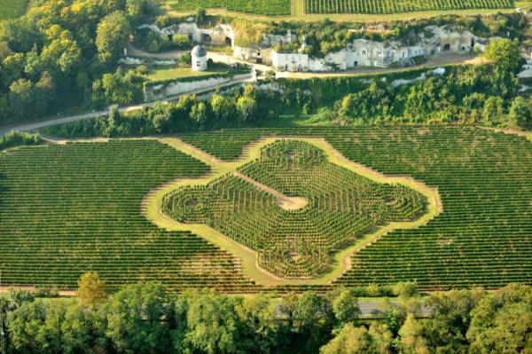 Yes, that's a vine maze.