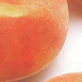 You may taste: peach melon