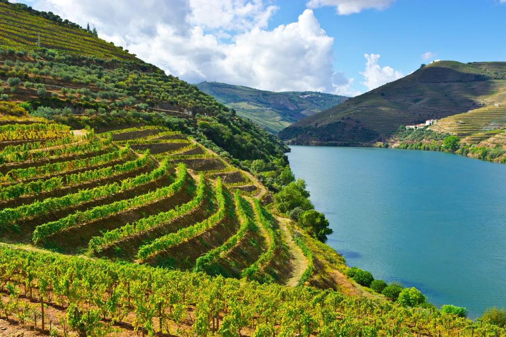 Food and Wine of Portugal and Galicia May 11 to 22, 2016 A very well-run, interesting trip sampling