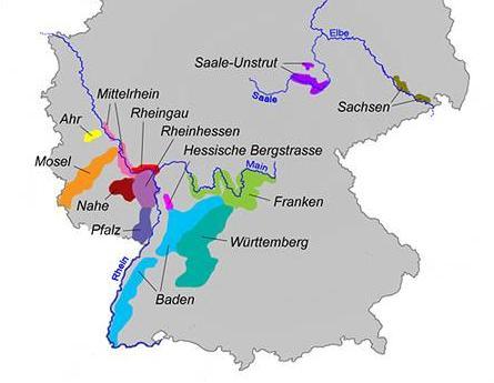 Germany In Germany, about 100,000 hectares of nearly 100 varieties are grown Major wine regions of mid-southern Germany For the white wines Riesling and Müller- Thurgau are perhaps the most important