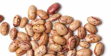 Legumes (Beans) 15.5-16 OZ CONTAINERS Basic Rules & Regulations Types of Beans to Purchase: 15.