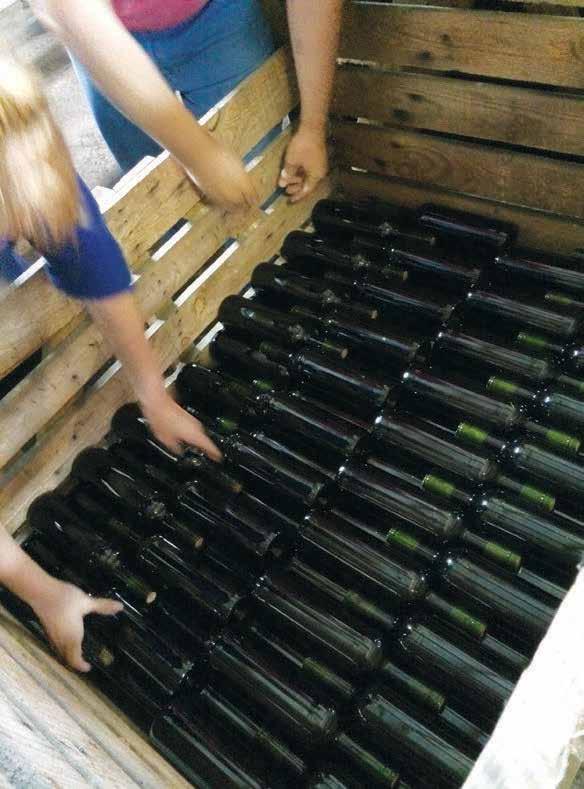 working life of a wine merchant or négociant, in activities that include storage, bottling, packing, shipping, etc.