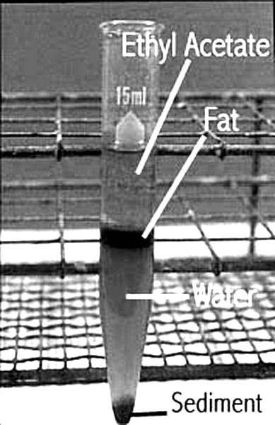 Techniques Pg. 8 ETHYL ACETATE SEDIMENTATION (For Fat Extraction Prior to ZnSO Centrifugal Flotation) 1.
