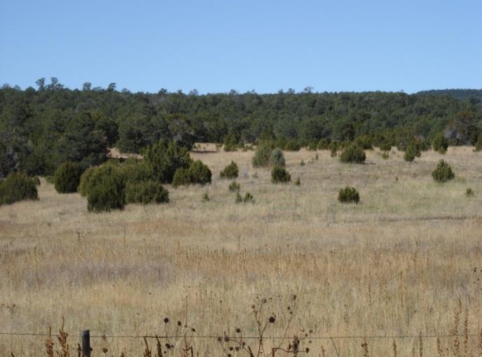 Expansion establishment of pinyon and/or juniper trees in former grasslands or