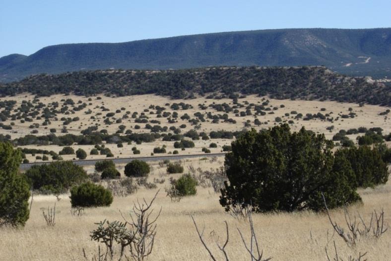 3. Piñon-juniper savanna Found where climate & soils are