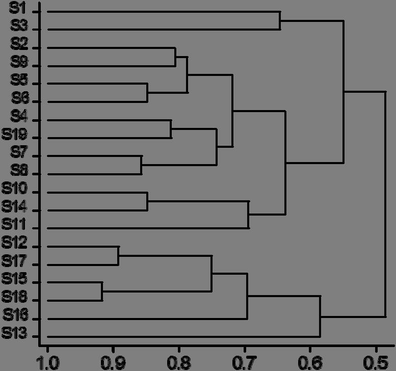 Fig 2: Dendrogram obtained by hierarchical clustering analysis based on saffron volatile components of 19 Moroccan accessions 4.