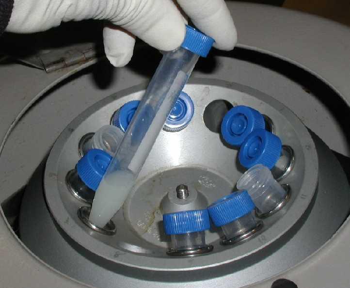 Coverslips Pipettes Stick
