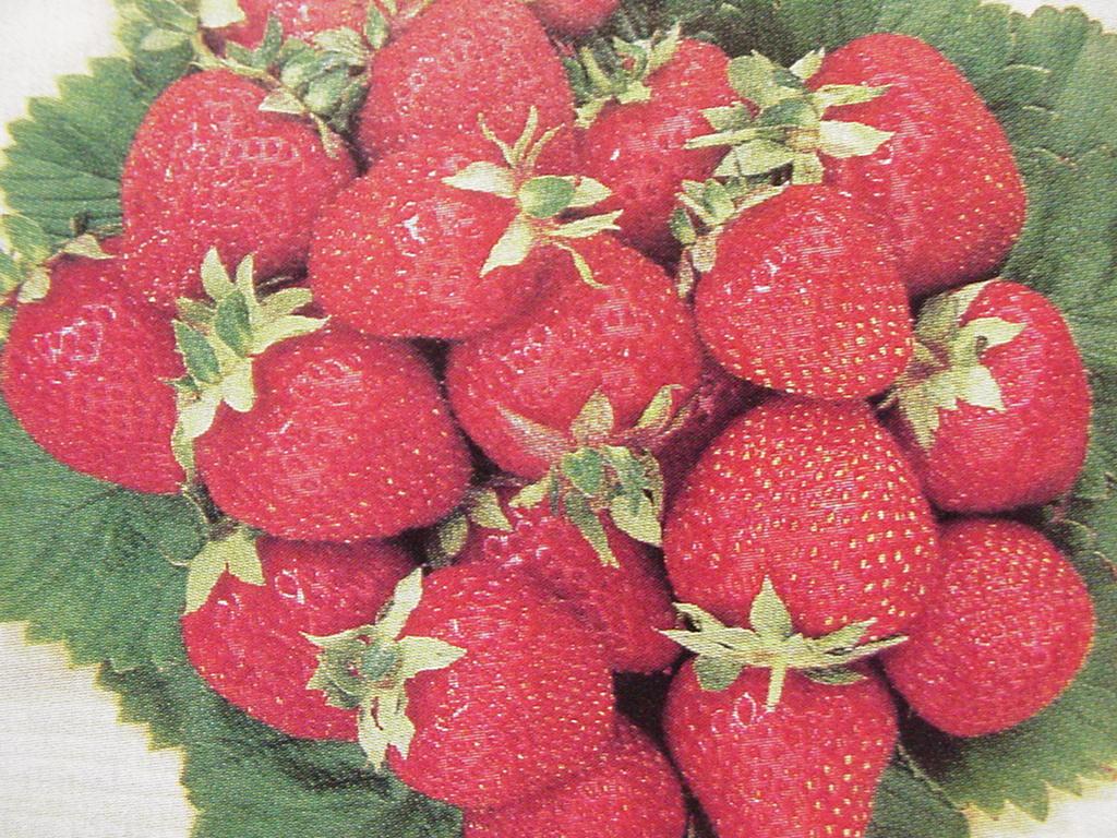 Strawberry Cultivars Three types