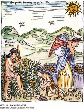 The lower class in Inca society included farmers, artisans, and servants. There were no slaves, however, because the Incas did not practice slavery. Most Incas were farmers.
