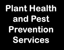 CDFA Divisions Animal Health and Food Safety Services Fairs and Expositions Pierce s Disease Control Program (GWSS) Plant Health and Pest Prevention Services Marketing Services Inspection Services