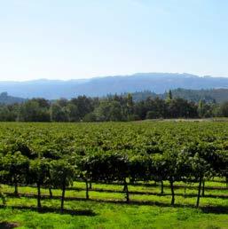 saturday, august 26, 2017 WE CONTINUE OUR WINE COUNTRY JOURNEY IN SONOMA VALLEY.