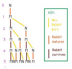 The Rabbit Problem Key Passage from the 3rd section of Fibonacci s Liber Abbaci: A certain man put a pair of rabbits in a place surrounded on all sides by a wall.