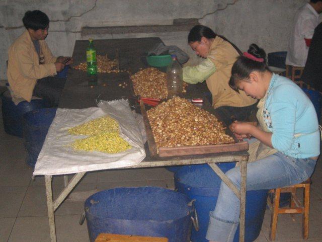 walnuts, pine nuts, Vietnamese cashews in