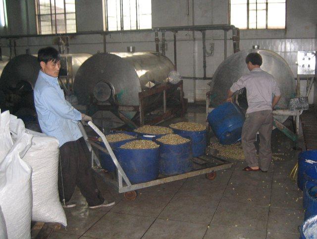 cleaning, drying, salting & rosting plant in