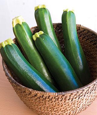 'Dark Green' Zucchini Cucurbita pepo Days to Maturity: 50