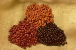More Bean Tips OH MY! WHAT ABOUT THE GAS? Tips : When preparing dry beans from scratch, discard the soaking water and rinse beans thoroughly before cooking them.