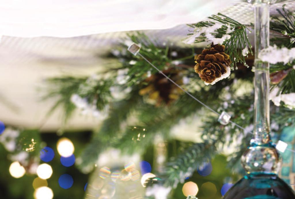 Holiday Portfolio This holiday season, we present our premier collection of seasonal